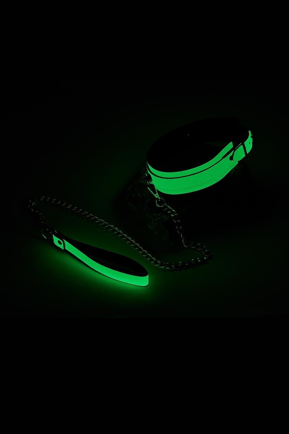osheinyk-s-povodkom-svetiashchyisia-v-temnote-dream-toys-radiant-collar-leash-zelenyi-14552399422007_-8f223930ba