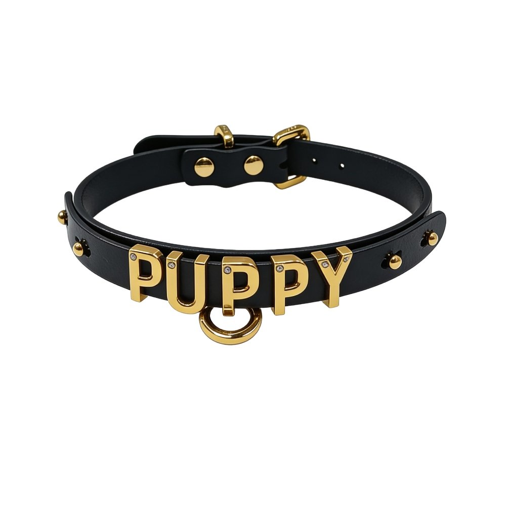 choker-s-nadpysiu-puppy-ot-upko-yz-ytalianskoi-kozhy-chernyi-s-zolotoi-furnyturoi-82784986947309_-6e3cf267d6